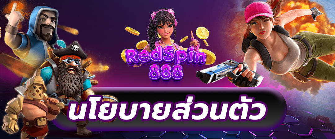 นโยบายส่วนตัว